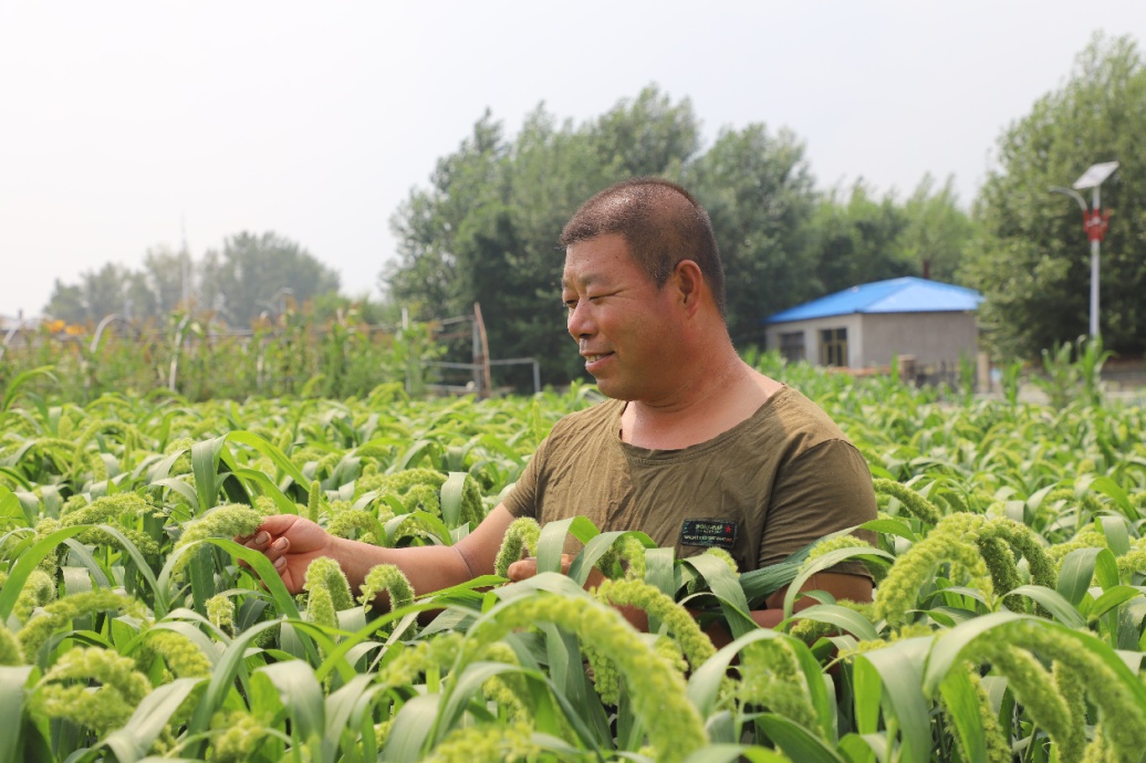 侯红章：大棚里走出的致富带头人