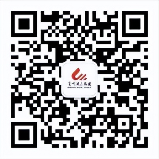 贵州酒店抢购,贵州酒店集团预约抢特产入口