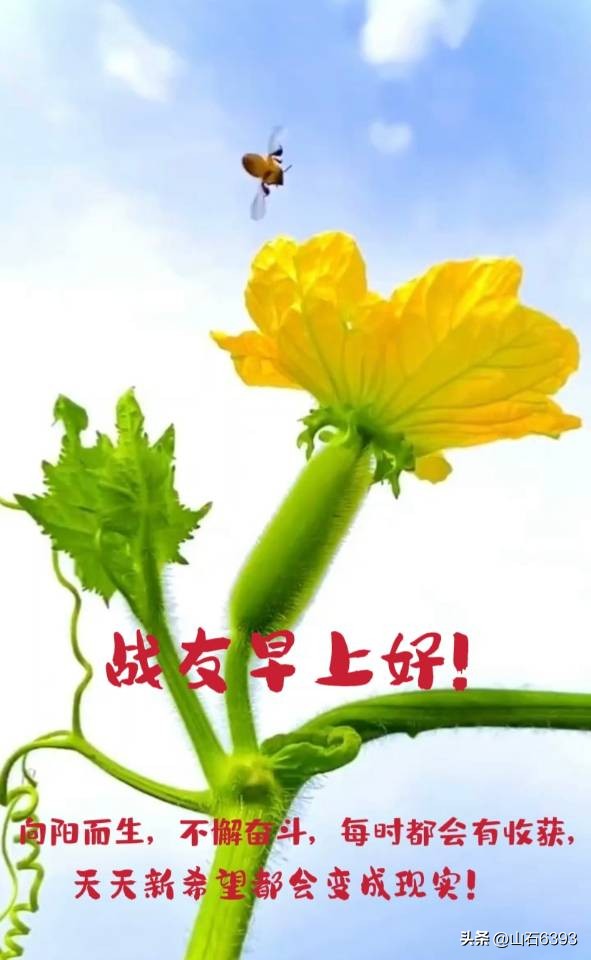 陈民永远的78师,战友美文30首