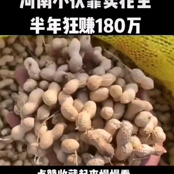 dou+小助手官方账号,dou+小助手设置