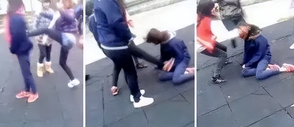 北京某职业学院霸凌事件后续,北京政法职业学院霸凌女处理结果