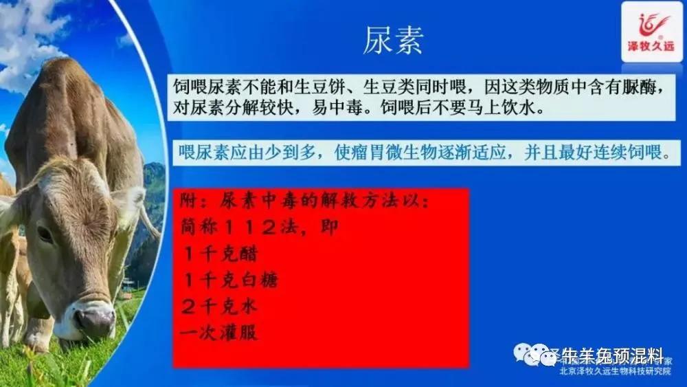 豆粕成本价格计算公式,豆粕上涨养猪的能提价吗