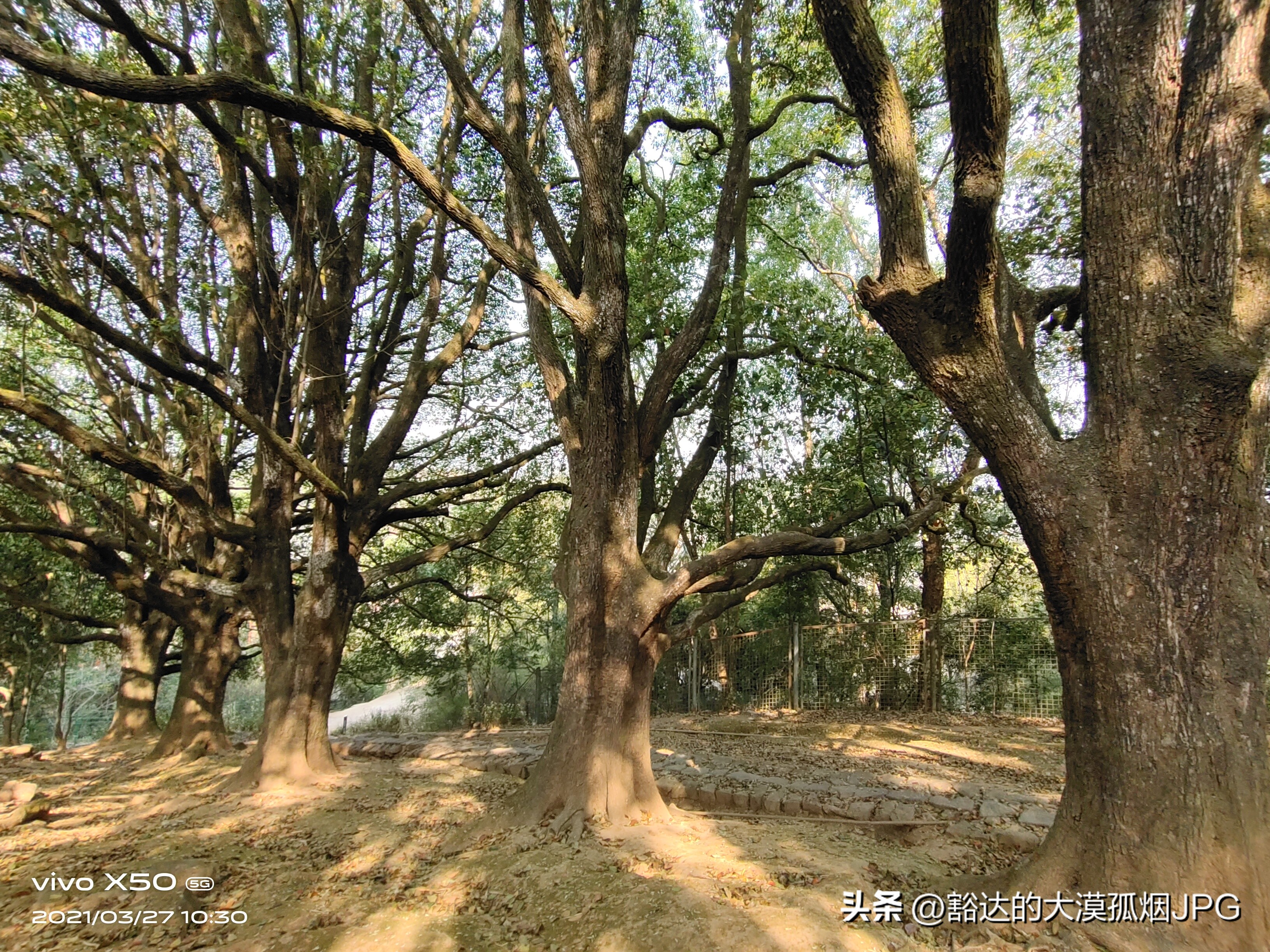 豆瓣评分9.5以上的电影国产电视剧,十部必看高分国产剧