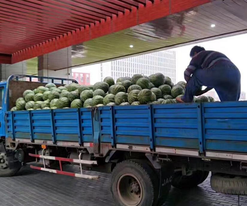 司机拉绿通过收费站后续,货车拉西瓜过绿通