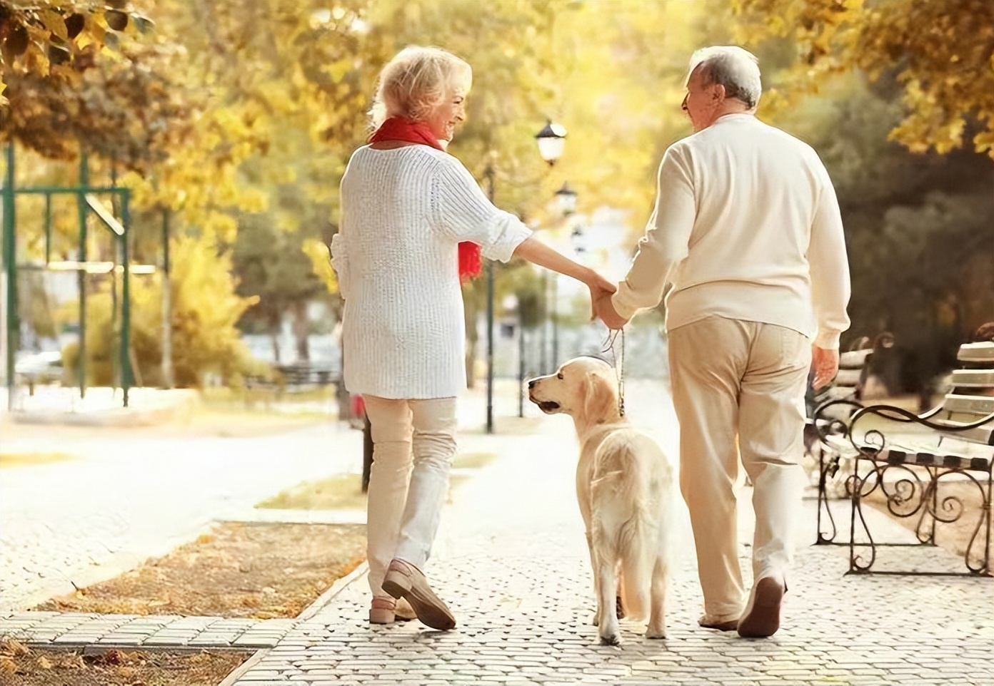 长期走路走多了对身体有什么影响,长期坚持走路的三种病