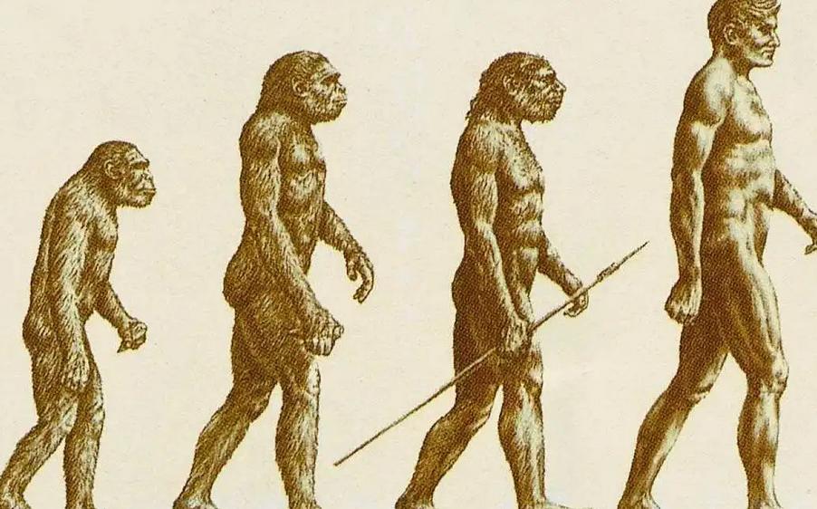 美国女孩艾米丽在中国,美国小女孩艾米丽现在长大了