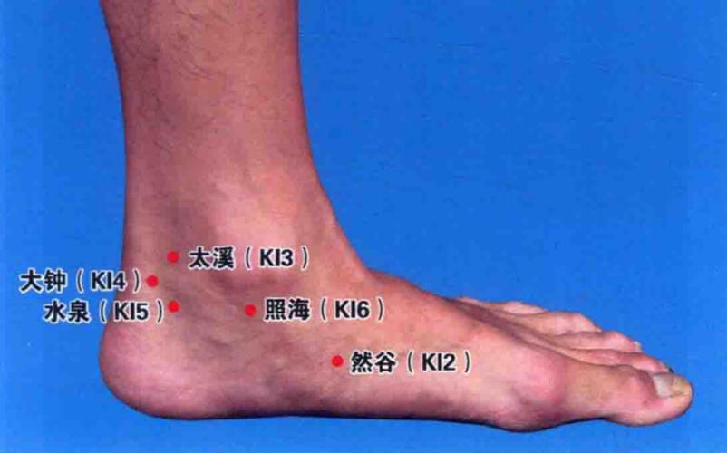 太溪穴能修复肾脏吗,太溪穴聚集人体元气