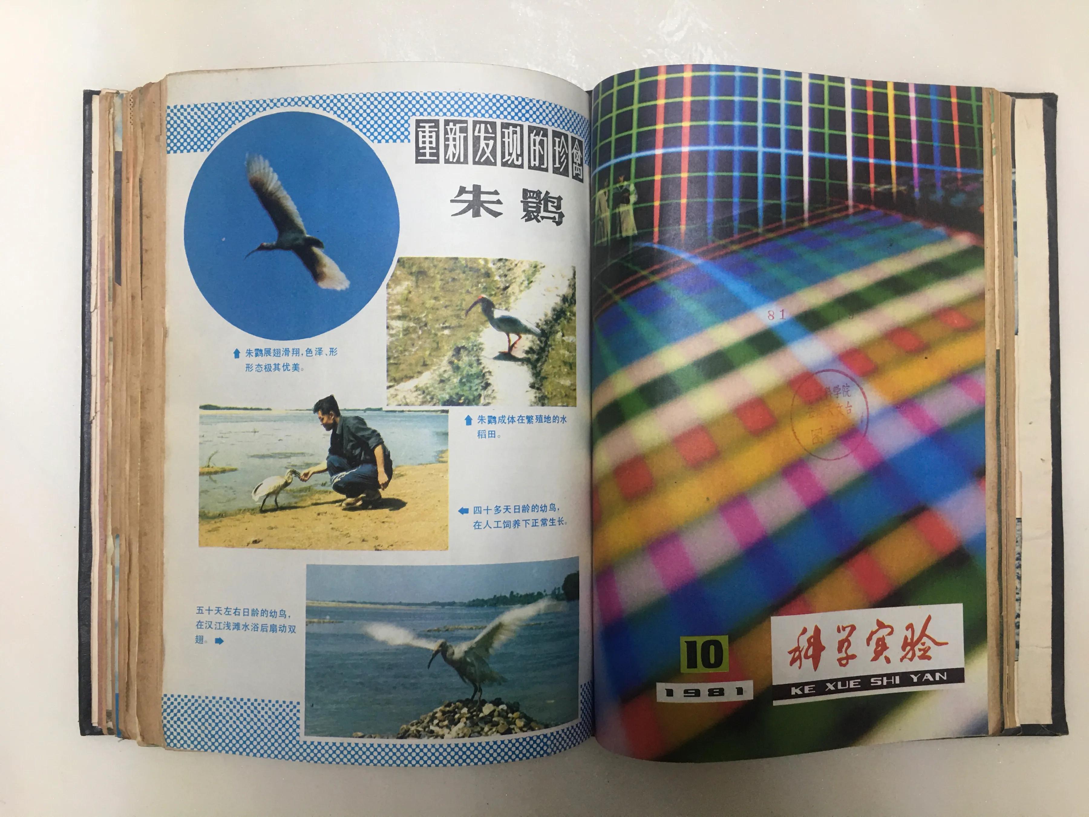 八十年代科普实验,80年代科学实验杂志