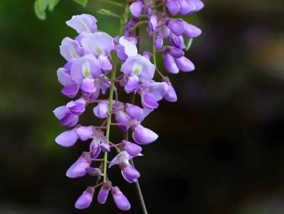 看了2022年平均工资，才知道最吃香的就业专业是哪些