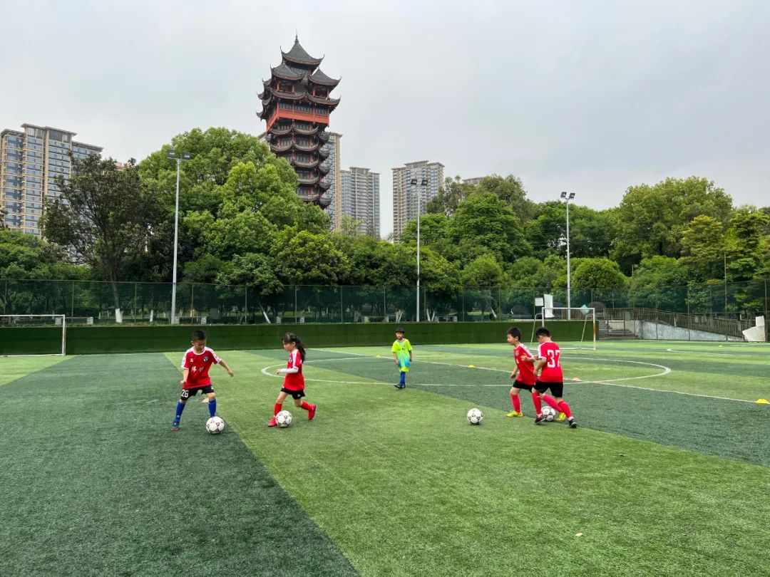 2023麒志杯采访,麒志