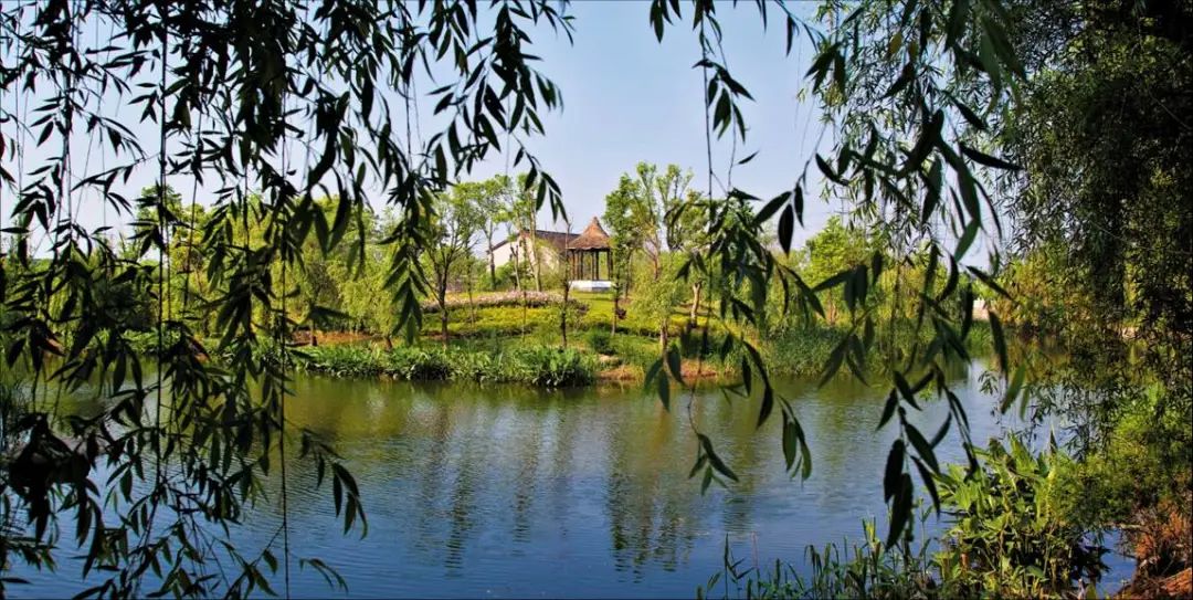 上海市首批市级旅游重点村,上海第四批全国乡村旅游重点村