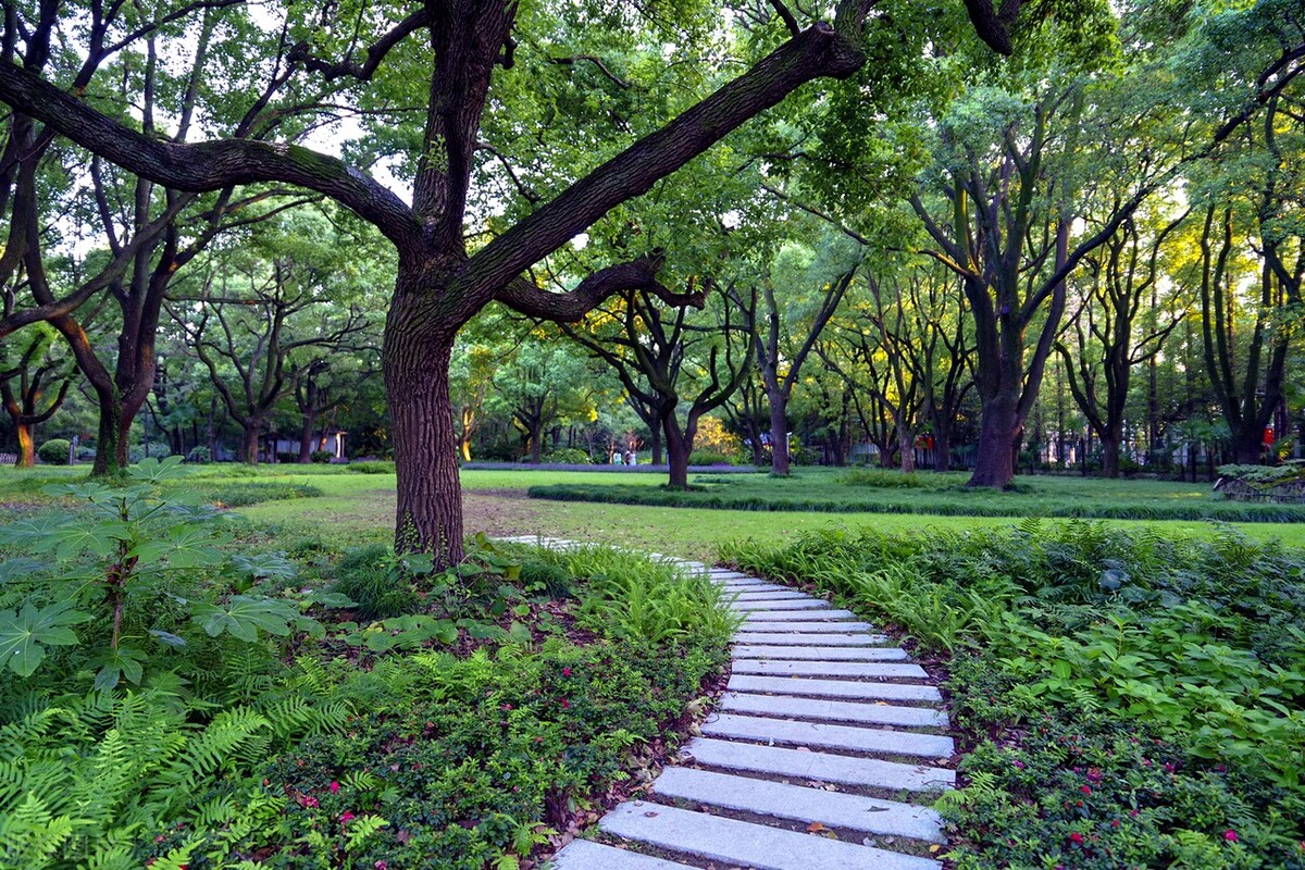 离开故乡感慨的诗词金句,离别故乡的诗句和优美句子