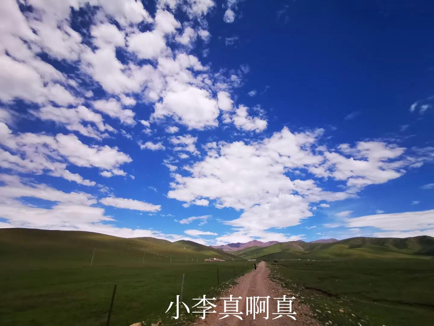 青海跟团游为什么不包餐,什么人不建议去青海旅游