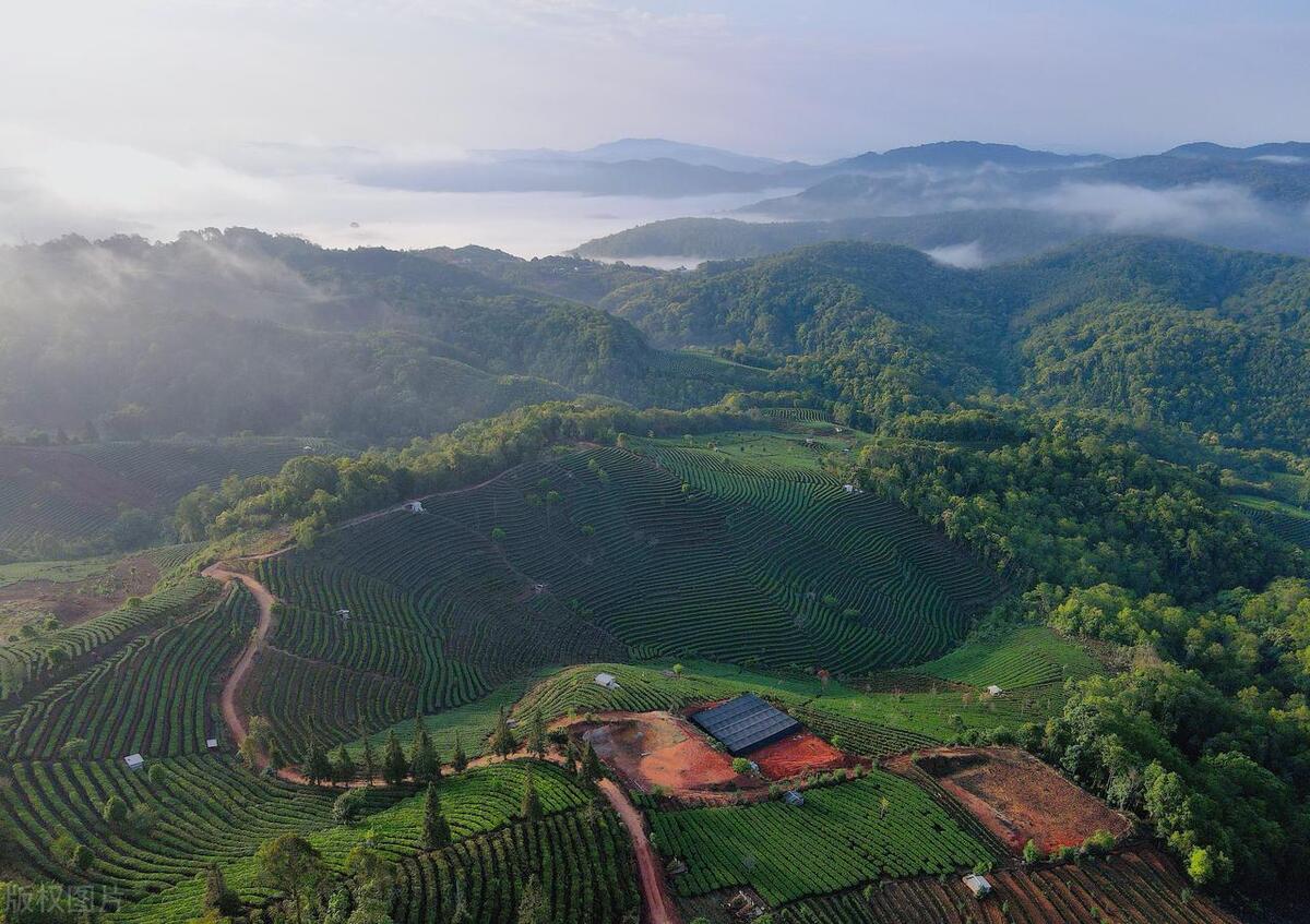 云南普洱旅游推荐,云南普洱好玩的景点都有哪些