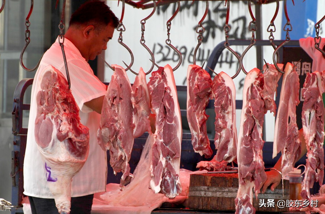 2022年三屠共猪，春节猪肉会涨价吗？科学分析比农村谚语更靠谱