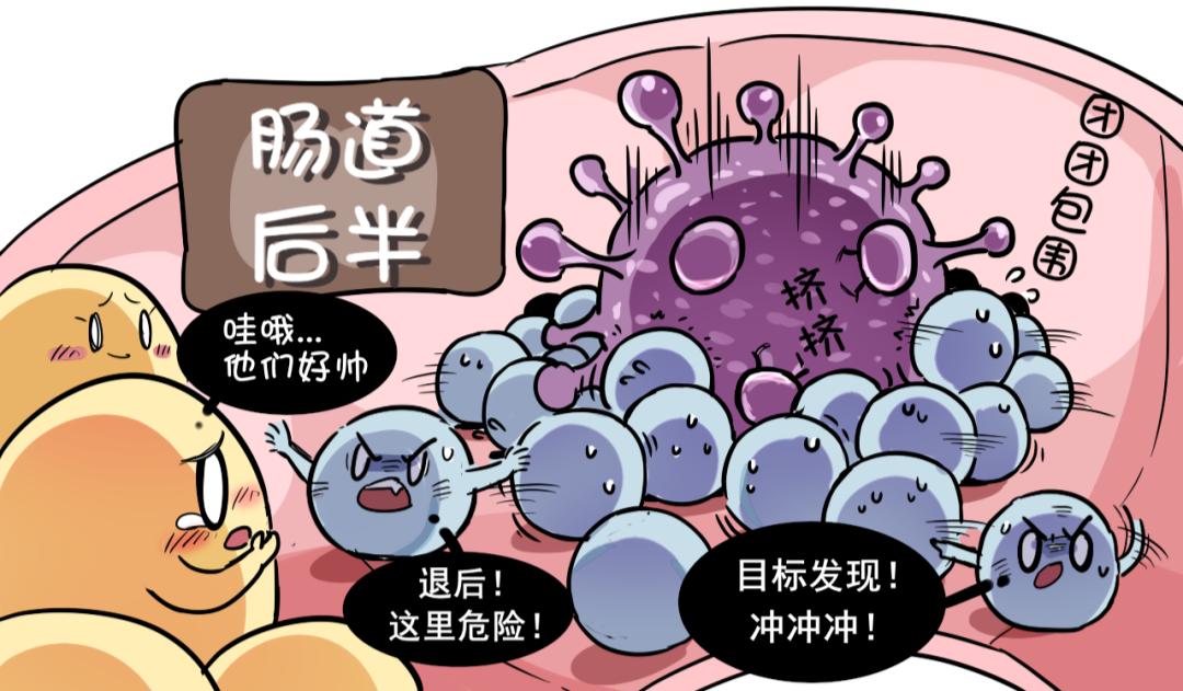 为什么不建议婴幼儿喝饮料,为什么不建议婴儿喝母乳