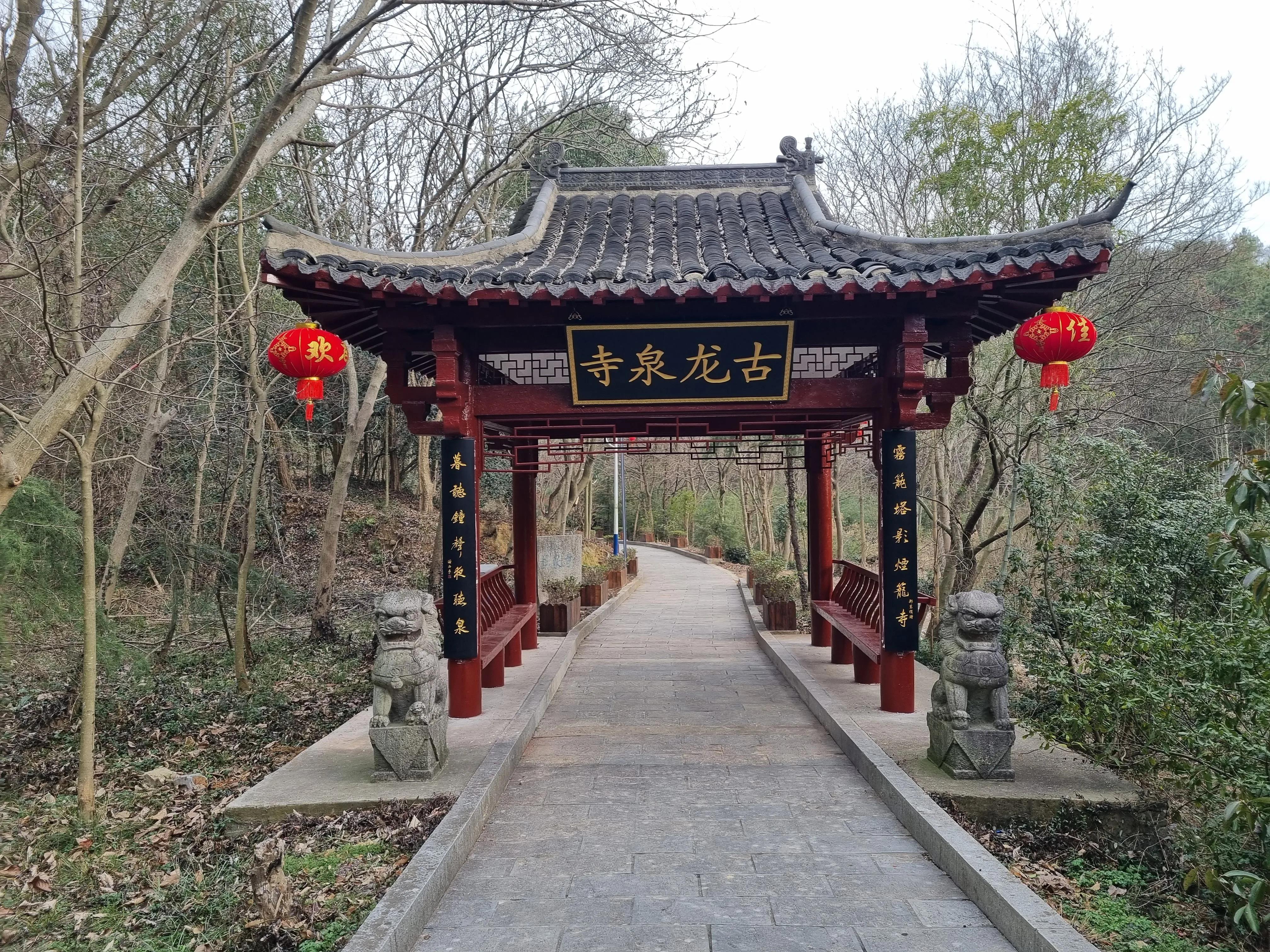 南京龙泉寺。寺里有一棵唐朝的腊梅树。