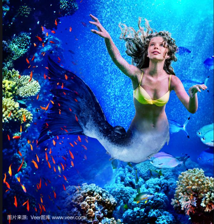 塑身健体的美人鱼潜水