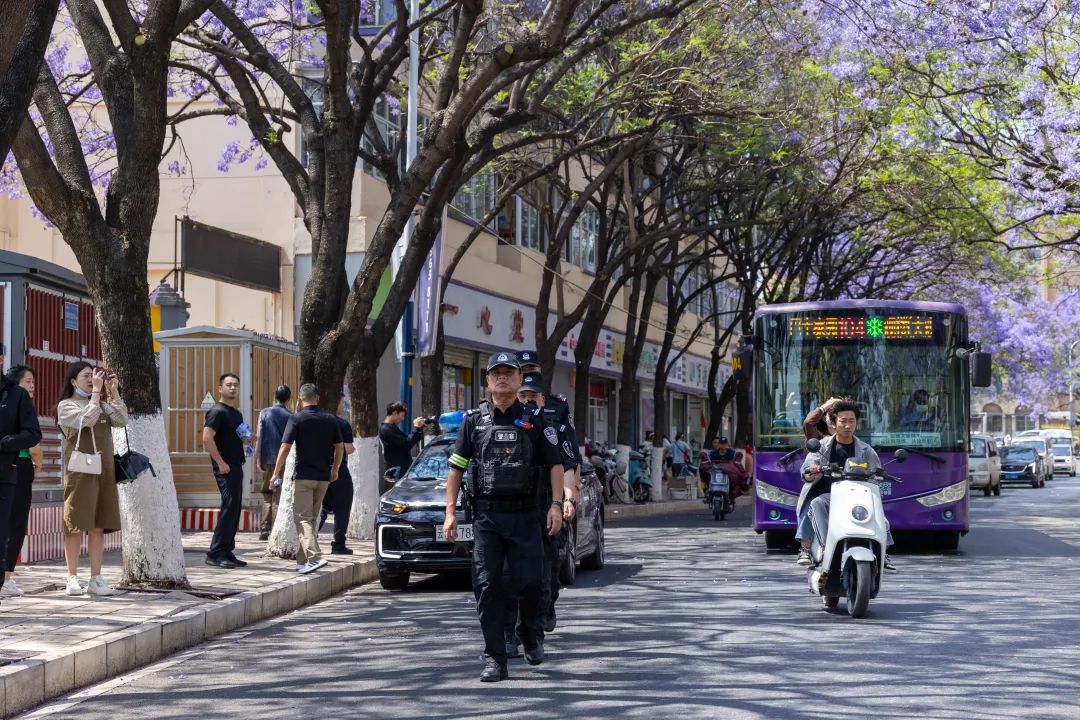 芸儿美美美美美,美美美美美美美英文