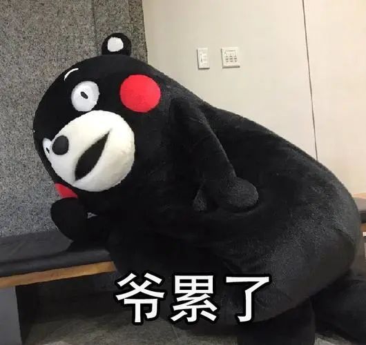 世界上最高阶五魔方,魔方世界5阶魔方