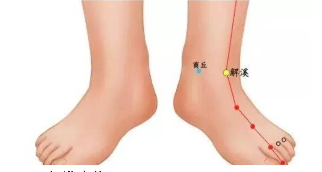 踝关节松驰一定会磨坏软骨吗,踝关节僵硬多久就锻炼不回来了