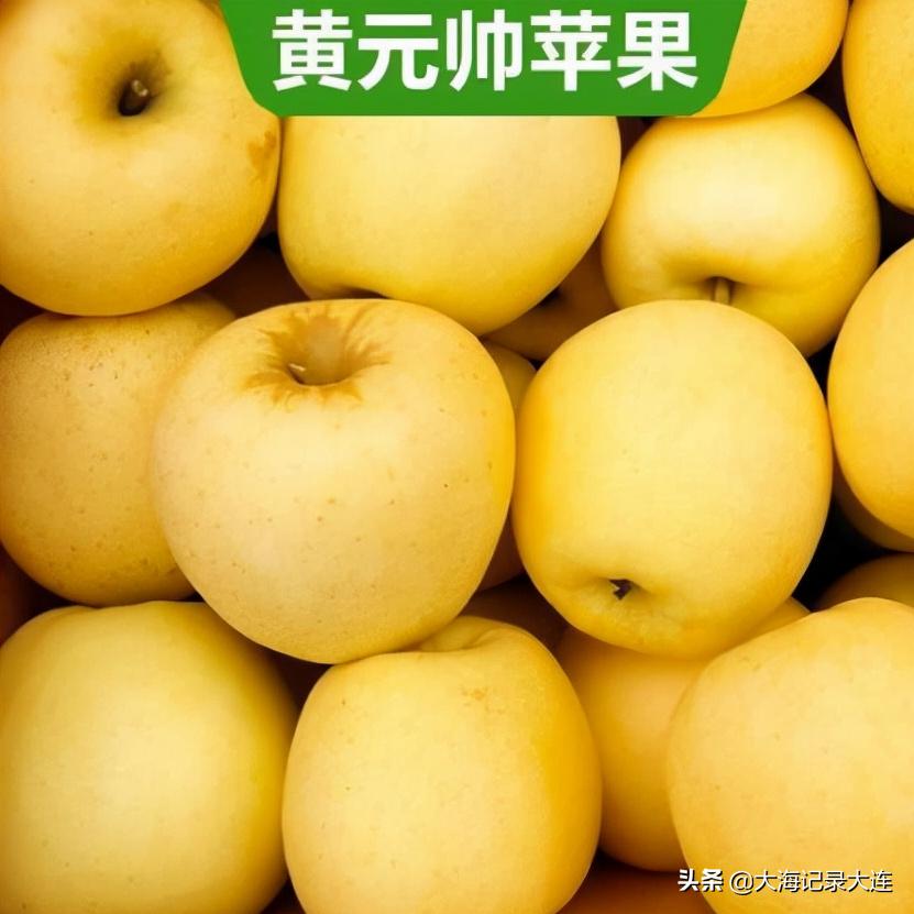 瓦房店苹果有名吗,瓦房店苹果品种大全