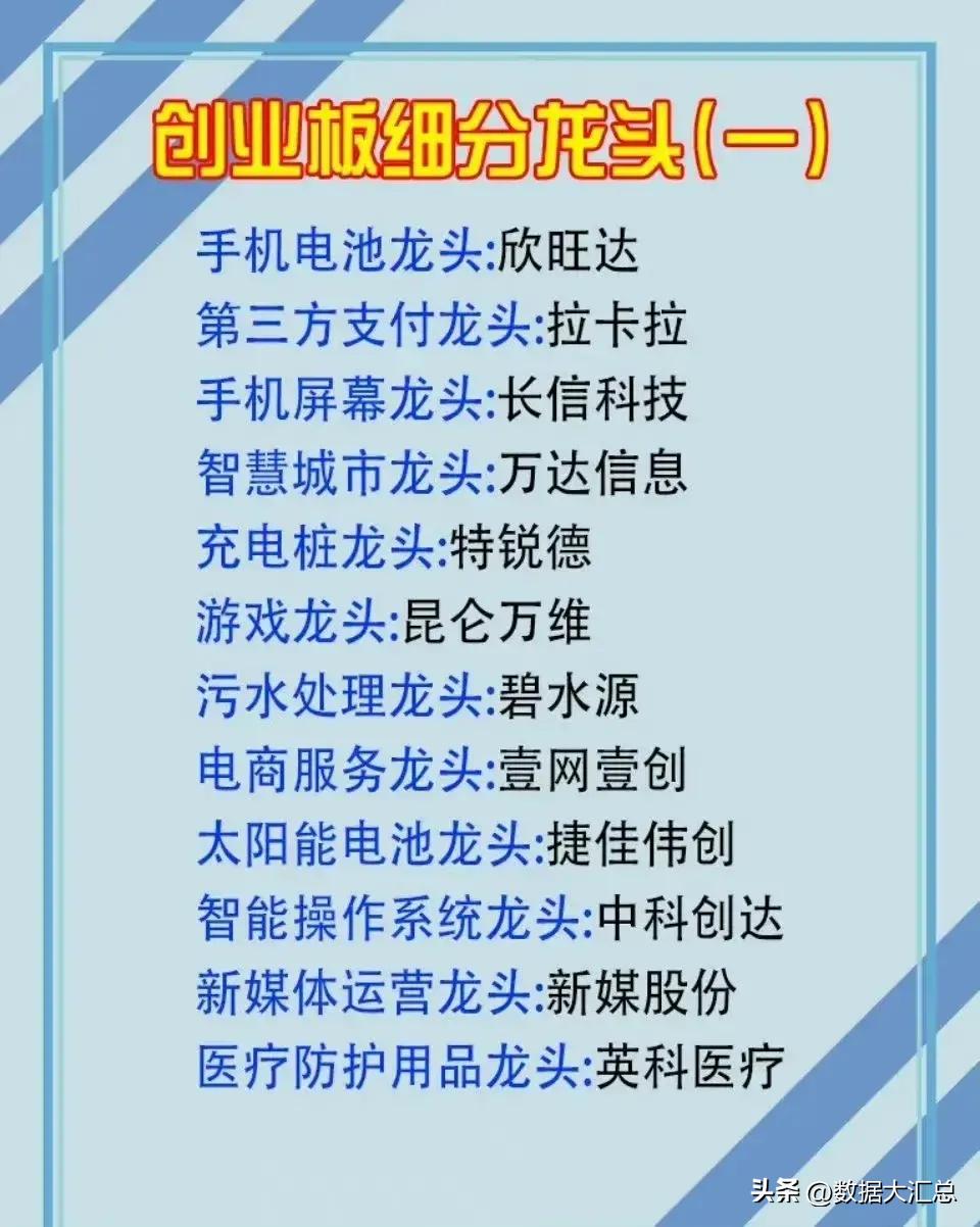 中成药股细分龙头,行业龙头板块有哪些股票