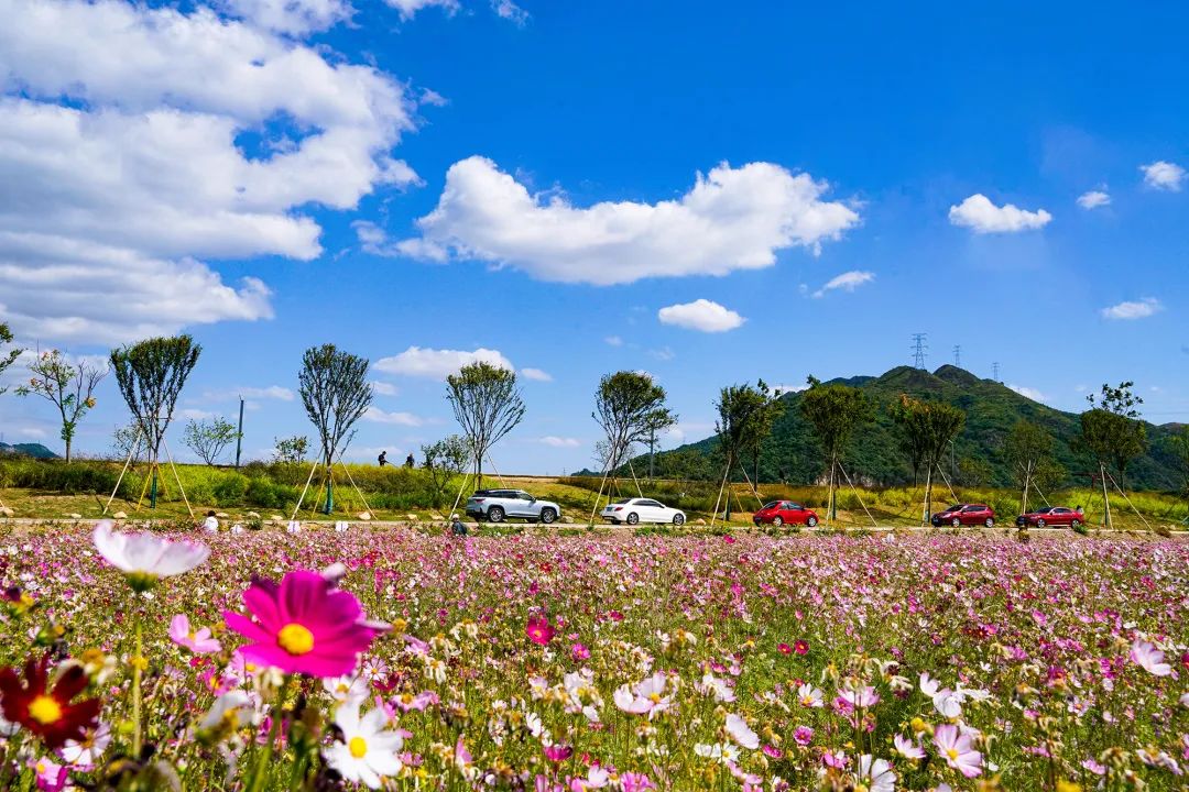 在温过大年！这几条“百县千碗”美食体验线路真的好吃又好玩