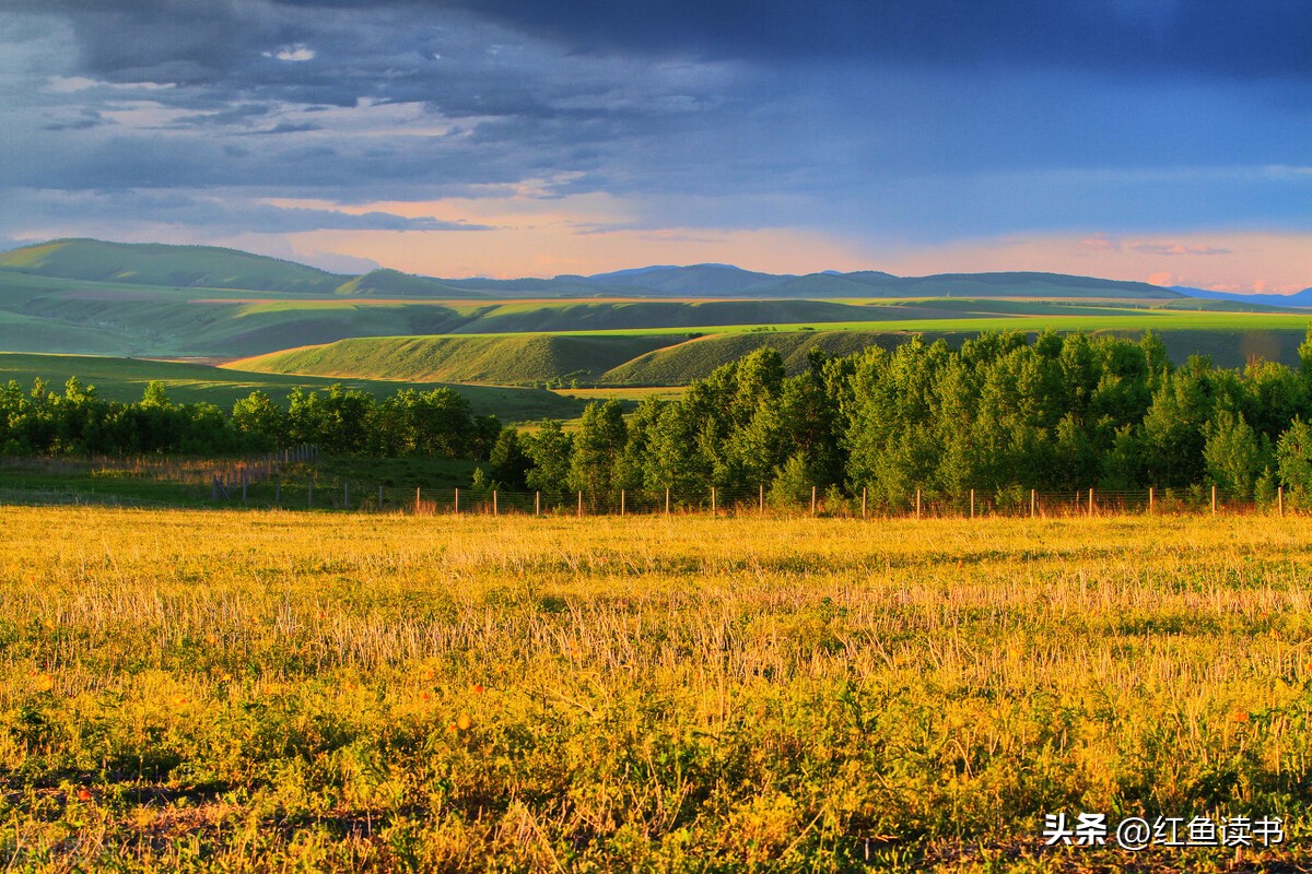 怎么打造个人品牌思维方式,如何打造个人品牌是处世的基础