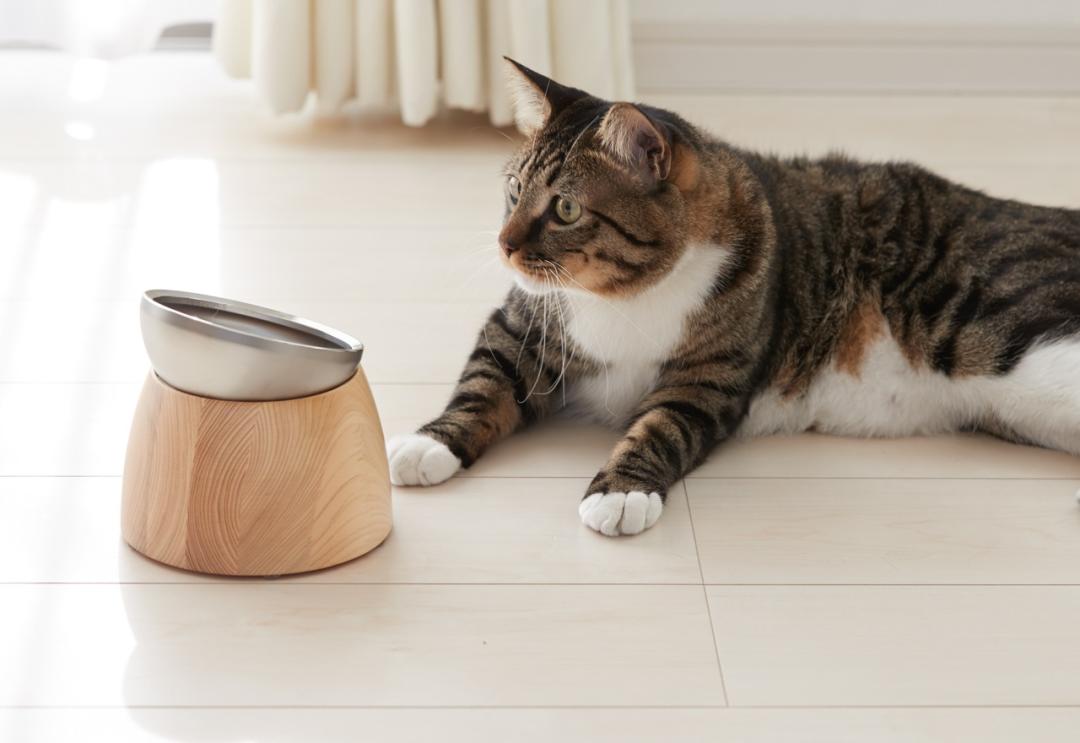 为宠物而设计,极简宠物产品