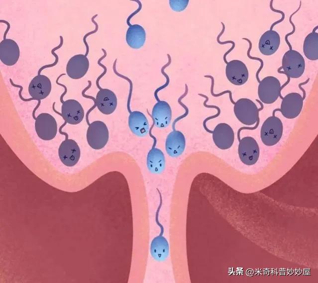 体力劳动能增强体质吗,体力劳动能提高身体素质吗