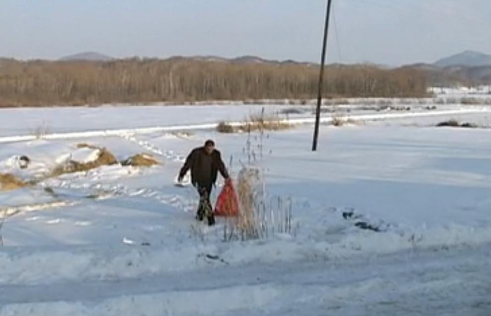 吉林男子野外捡鹿,吉林男子捡到小鹿