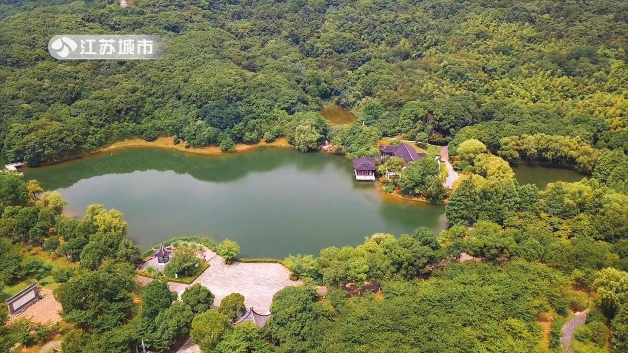 张家港电视台新闻联播综合频道,张家港新闻综合频道在线观看