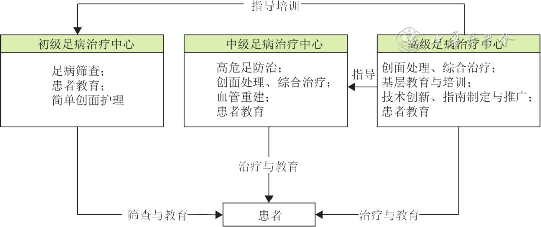 【讲座】糖尿病足的快速转诊路径
