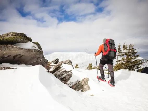 羊肉胡萝卜白萝卜汤的功效和作用,羊肉胡萝卜粉条山药能一起熬汤吗