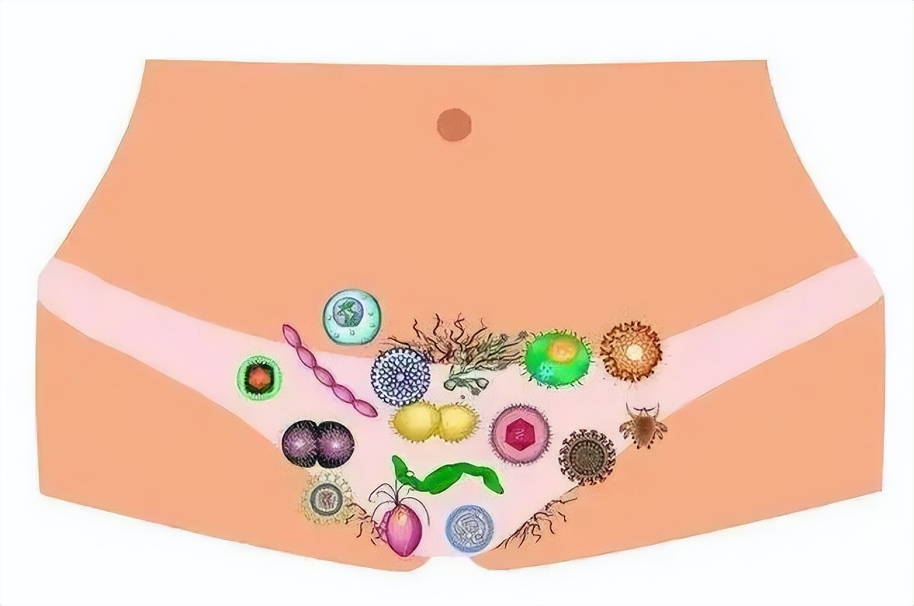 女性益生菌和肠胃益生菌一起服用,益生菌和妇科抑菌片一样吗