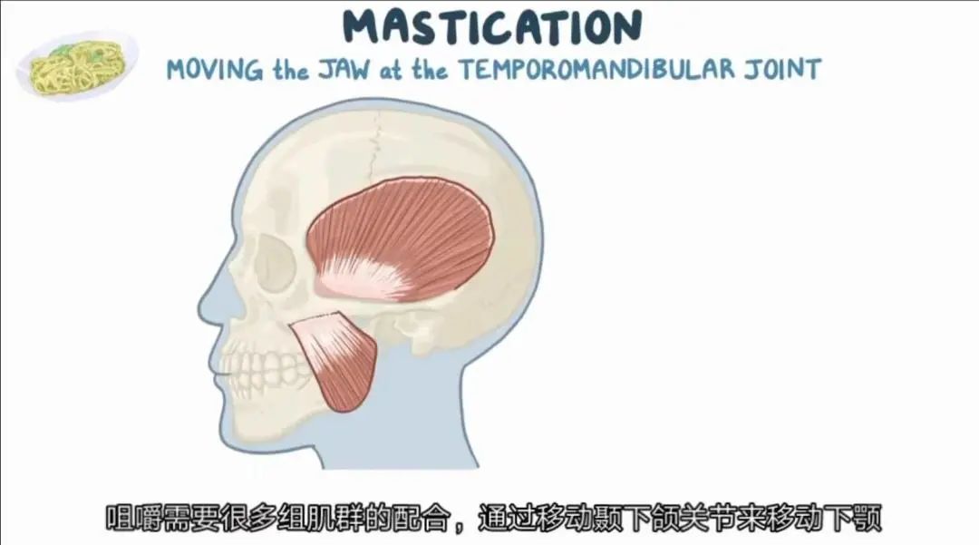 八个月的宝宝吃辅食就吐怎么回事,宝宝吃辅食吐了以后还要吃吗