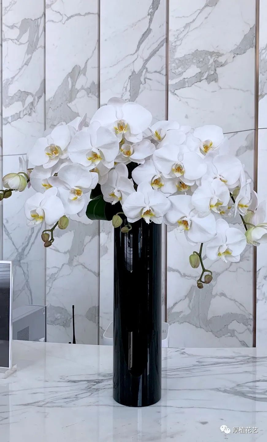 商务前台鲜花,前台花选择