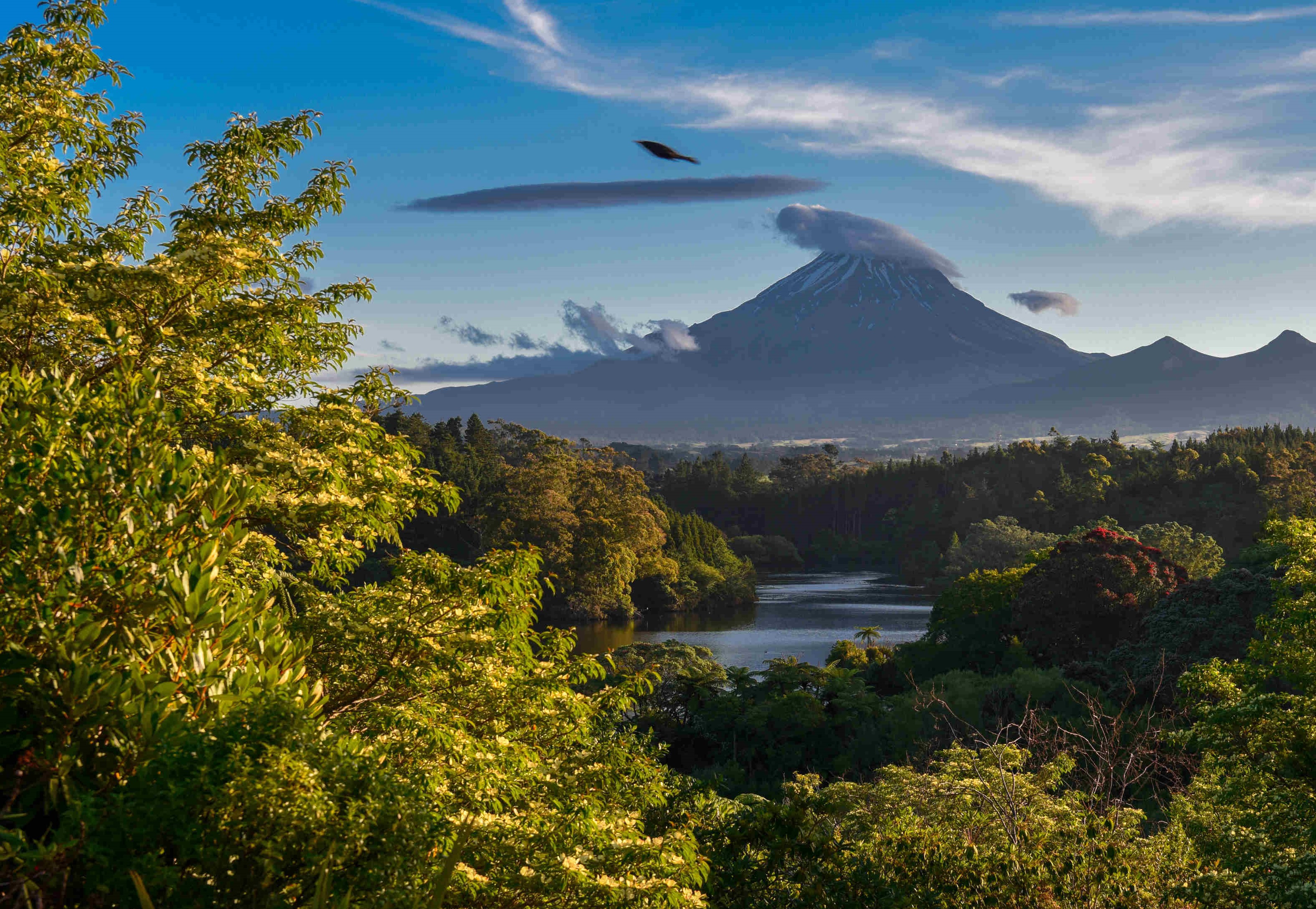 为什么新西兰全国只有一种气候类型,却分布有三种陆地自然带?
