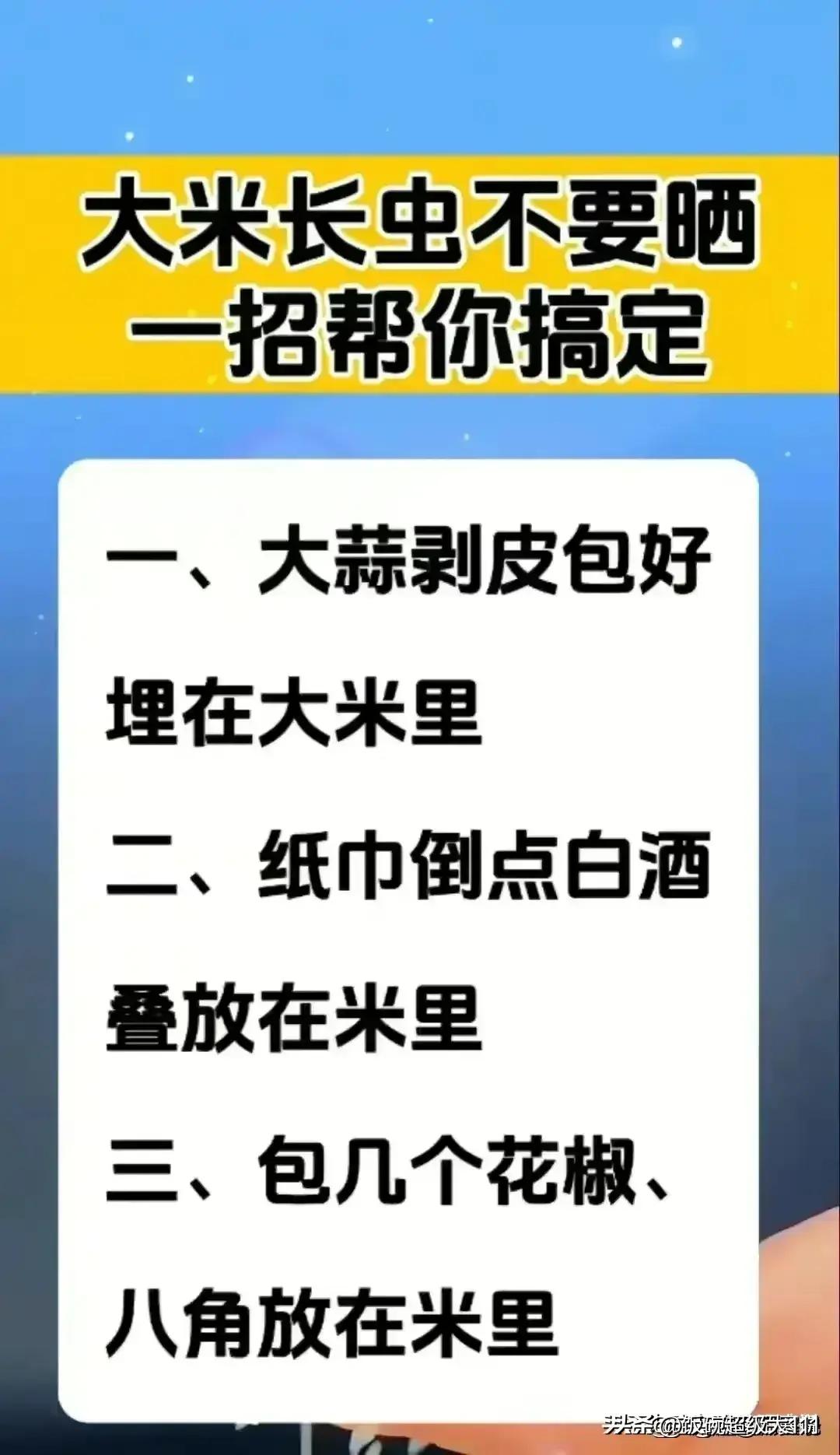 车牌号尾数44有什么特殊含义,各种车牌号含义