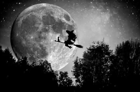 他们收养黑猫后，半年中了百万英镑？谁再说黑猫不吉利！