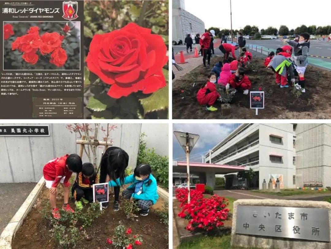 日本足球为什么能突飞猛进,为什么日本足球踢得越来越好