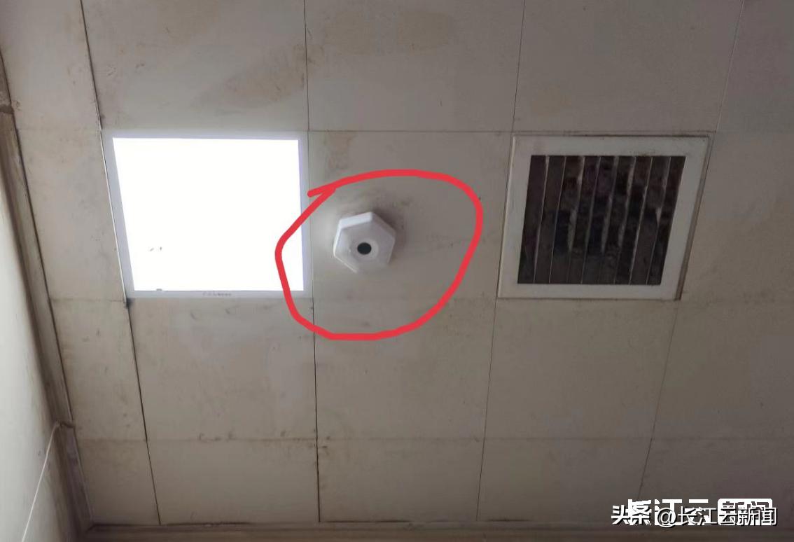 长江云调查:智慧公厕用得着这么豪华吗?