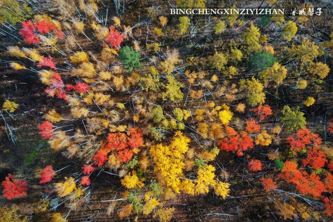 秋天大兴安岭最美的地方,秋天美丽的大兴安岭