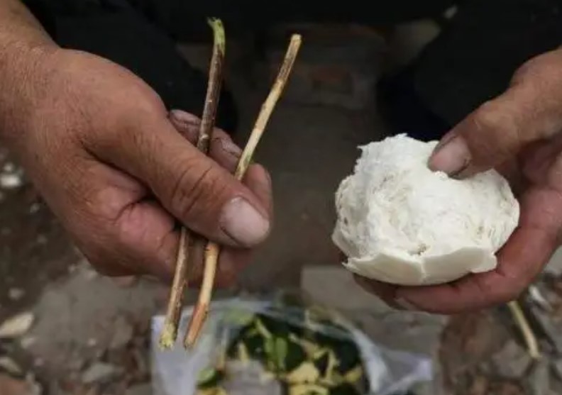 2013年西班牙富商恋上中国大妈，不惜放弃亿万资产，女方：不领证