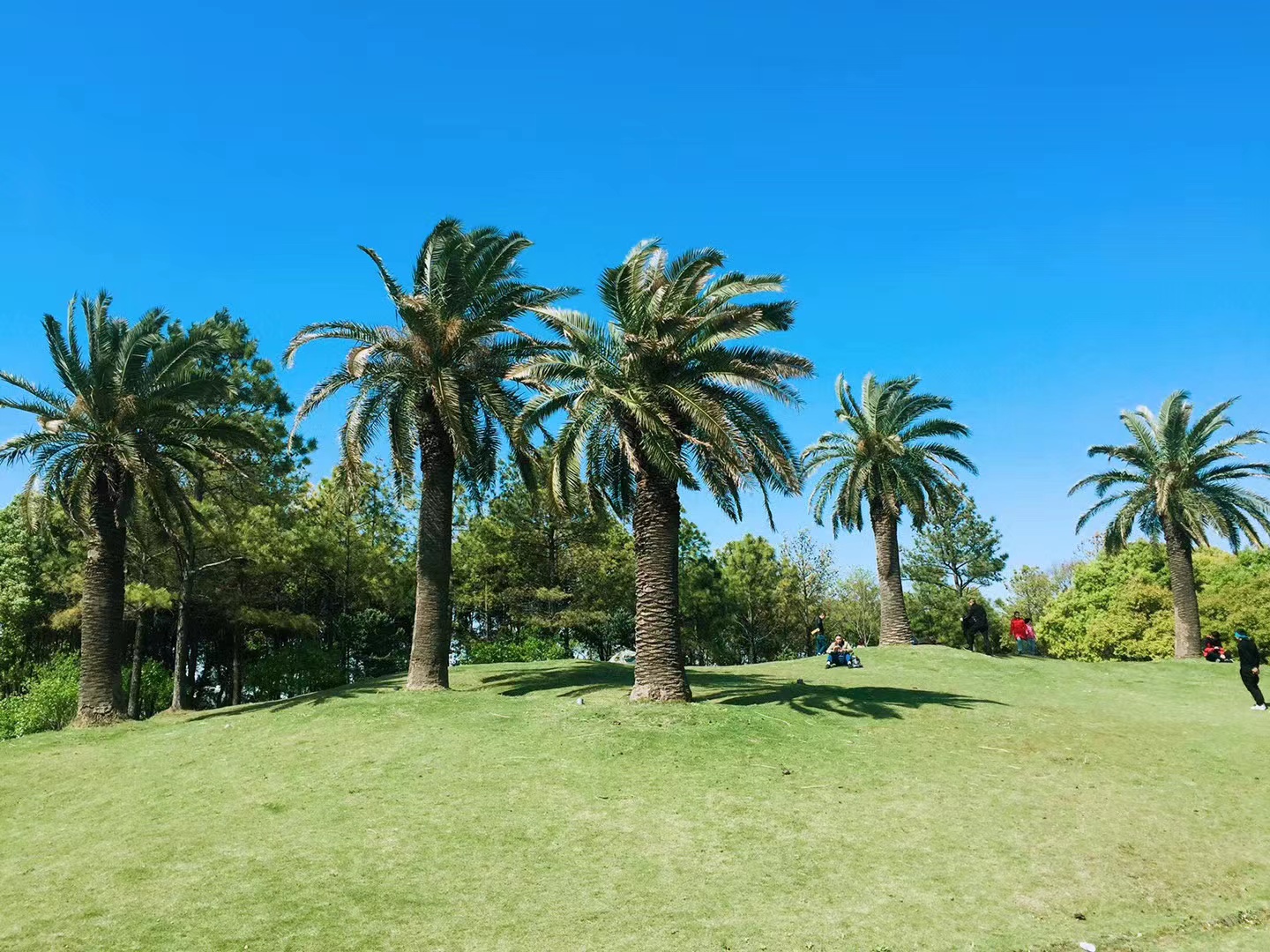 美兰湖7号线首班车几点,7号线美兰湖