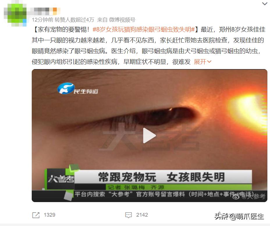 猫吃米线,猫吃米线吗