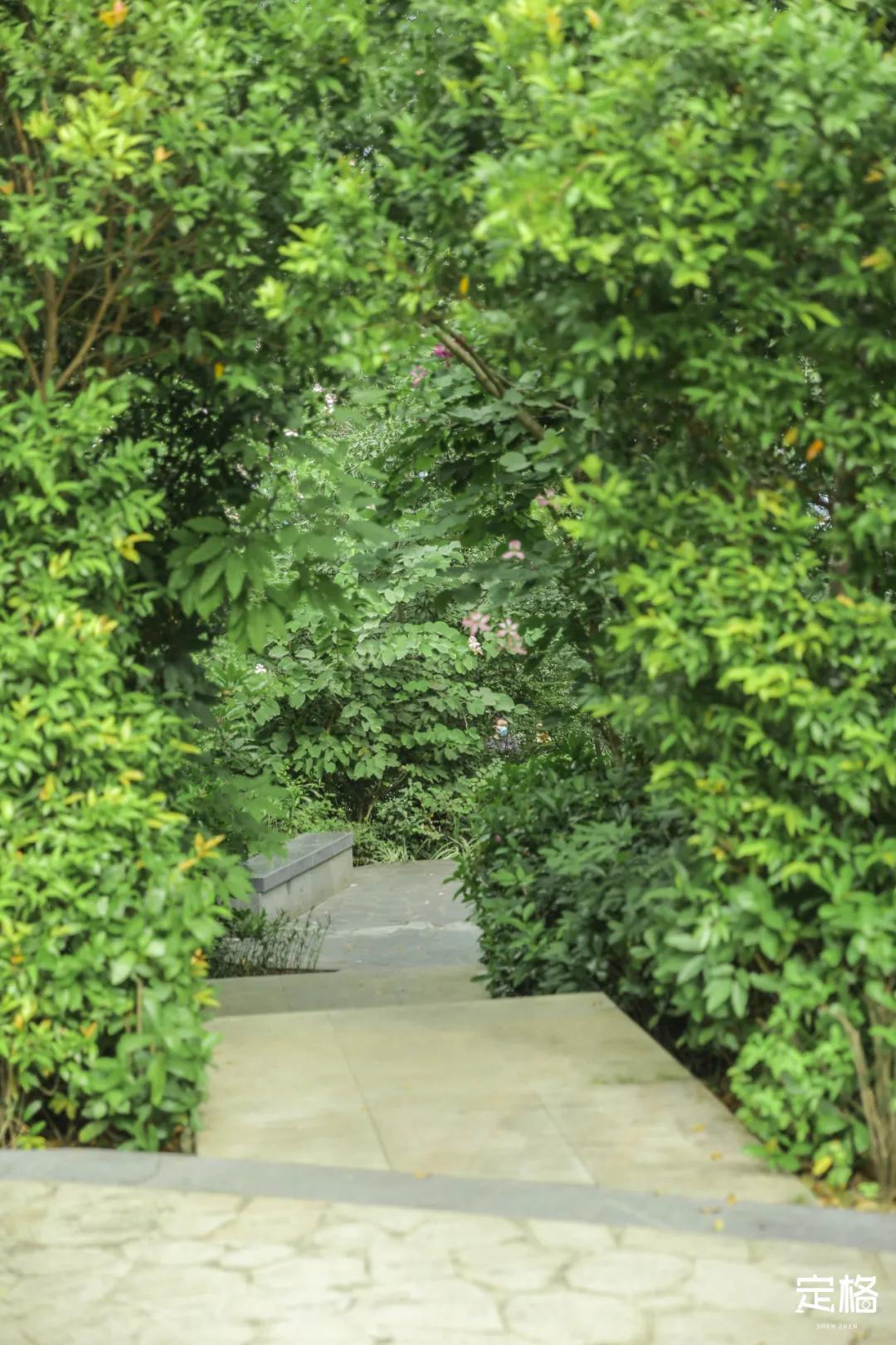 深圳百米长「纯白登山梯」，打卡绝了