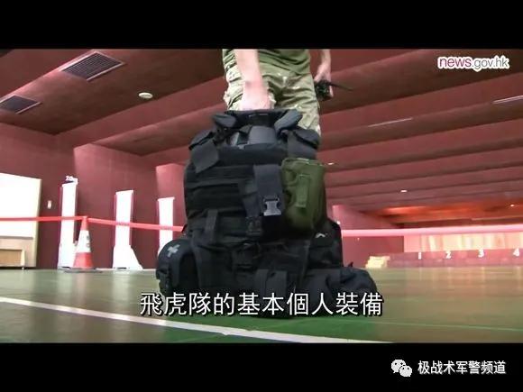 虎年说虎科普视频,虎年说虎运用了哪些说明方法