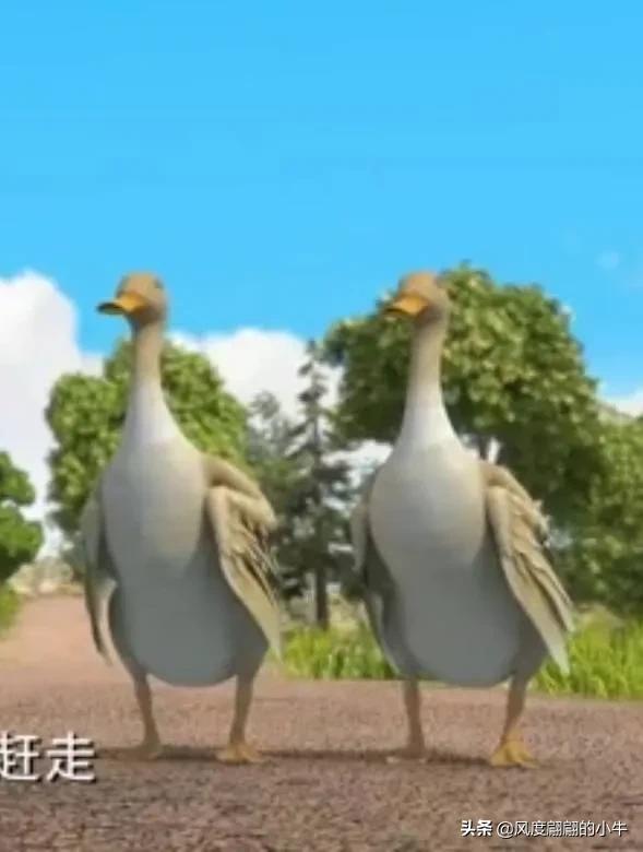 熊出没最厉害的角色,熊出没历代角色大全